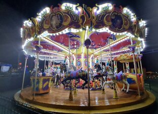 Роман "Карусель -3" 