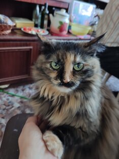 Книга недели