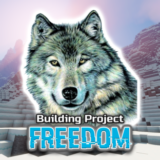 Проекты команды Freedom