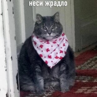 Еда