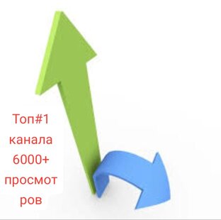 просмотров 6000+