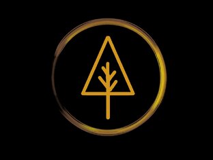 Диверсионная деятельность