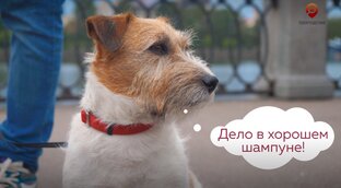 Брюс одобряет