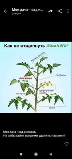 Для ородника 