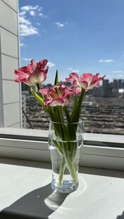 Выпечка