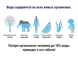 Осознанный напиток: ВОДА есть жизнь! 