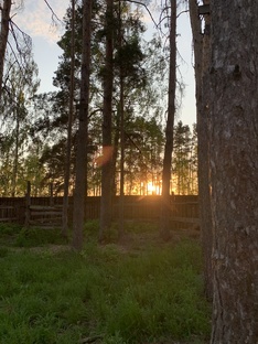 Природа 
