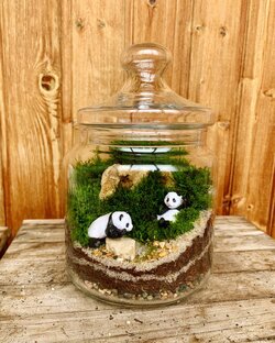 Баночки, мои баночки!