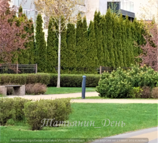 Дизайн сада