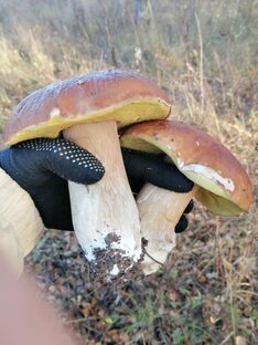 Другие интересности, все что рядом, все что радует