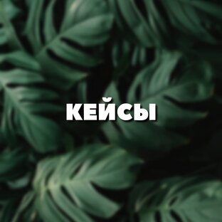 КЕЙСЫ