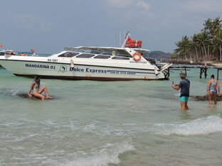 Где-то, где всегда лето