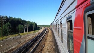 Полезные звуки