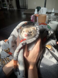 Болезни и больницы