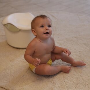 Обучение горшку