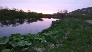 Походные рецепты 