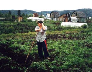 Дача,Огород