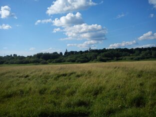 Рак-это не страшно.