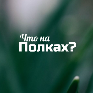 Что на полках
