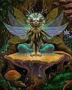 Общее о магии