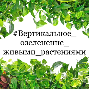 Фитомодули для живых растений от ПК "Фитосены"