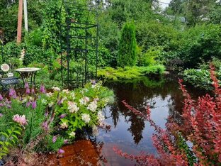 Освоение участка