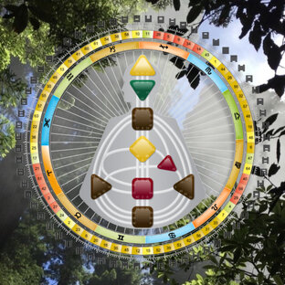 Дизайн человека