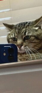 Что-то нейтральное 