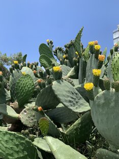 Психология