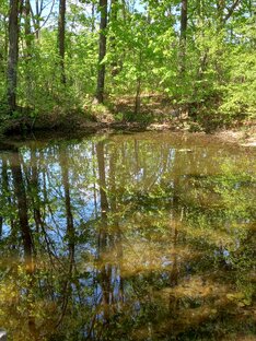 Женщины разных народностей