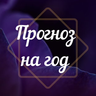 Матрица года