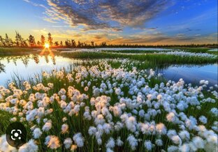 Весеннее творчество для детей