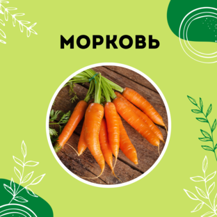Про морковь