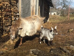 Видео деревни.