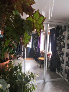 Любимый дом