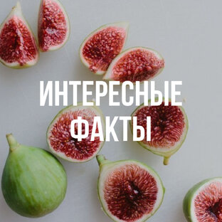 Интересные факты 