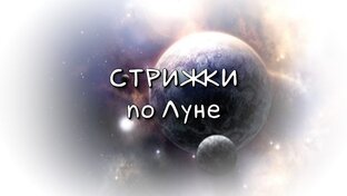 Стрижки 