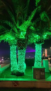 Новый год в Турции