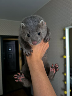 Полезные ролики 