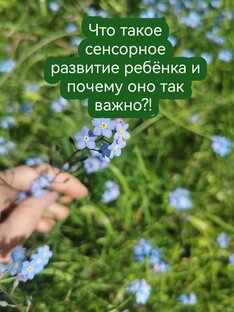 Все о сенсорной интеграции 