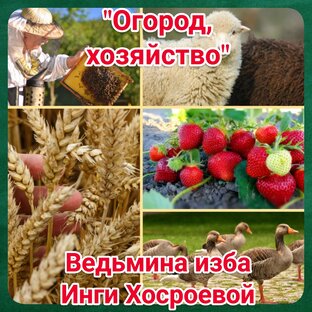 "Огород, хозяйство" 