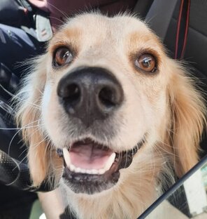 Отчеты о приходе и расходе средств благотворителей