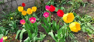 Весенние зарисоки