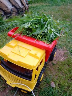 Видео ролики