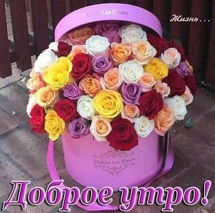 Доброе утро.