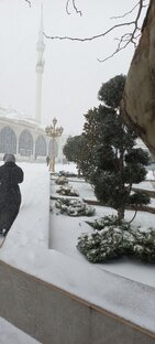 Рассказы