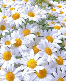 📝Напоминалочки📝