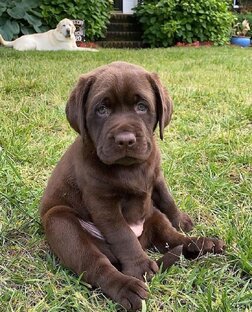 интересное и смешное