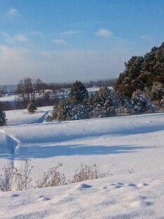 ПУТЕШЕСТВУЙ НЕ ДОРОГО