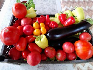 Приусадебное хозяйство